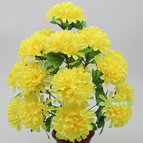 假菊花
