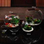 透明玻璃圆球花瓶 绿萝水培花瓶 微景观花瓶 圆形水培鱼缸 金鱼缸