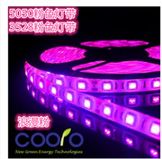 led灯带3528 12v 5050粉色灯带粉紫色滴胶防水LED浪漫粉红灯带