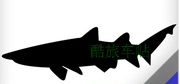汽车贴纸鲨鱼深潜俱乐部，反光车贴遮盖划痕贴纸拉花