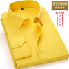 春季长袖衬衫男青年商务职业，工装休闲款纯黄色，衬衣男打底衫工作服