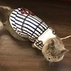 宠物猫咪衣服英短美短虎斑蓝猫布偶暹罗猫背心，薄款泰迪狗衣服