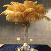 金色鸵鸟羽毛摆件卖场橱窗，软装婚庆桌花路引狂欢节diy饰品配件