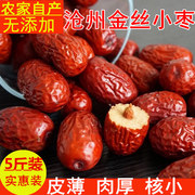 新枣沧州红枣整箱5斤农家自产红枣干金丝，小枣子煮粥煲汤