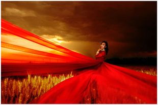 红色单层头纱超长5米8米10米拖尾新娘婚纱旅拍造型裸纱软