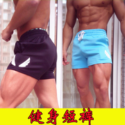 运动短裤男速干男士，跑步三分裤肌肉训练健身夏季深蹲紧身大码