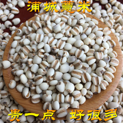 新鲜小薏米福建浦城农家自产薏米意米仁500g苡仁米红豆赤小豆可搭