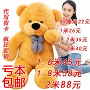 布娃娃毛绒玩具熊，1.6米泰迪熊1.8米2大号生日礼物，公仔抱抱熊大熊
