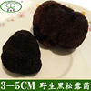 黑松露新鲜黑松露块菌猪拱菌云南特产野生3-5cm白色松露菌500g