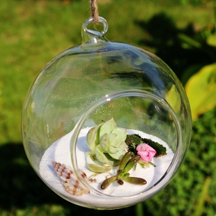 悬挂透明玻璃花瓶苔藓瓶多肉，植物花瓶圆形，微景观花瓶生态瓶