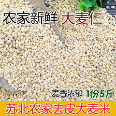 新货农家新鲜大麦仁去皮麦仁大麦米散装八宝粥原料2500g5斤