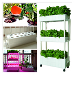 定制阳台种菜神器有机蔬菜种植箱无土栽培设备水培蔬菜家庭室内种