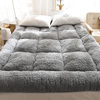 秋冬季加厚保暖羊羔绒，床垫软垫家用1.5m床，1.8x2米褥子榻榻米垫褥
