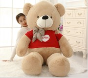 毛绒玩具熊泰迪熊公仔抱抱熊1.8米1.6米七夕礼物大娃娃生日熊