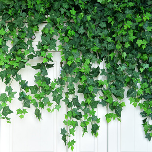 仿真爬山虎藤条装饰叶子绿植塑料，藤蔓植物树叶假花挂墙壁管道绿叶