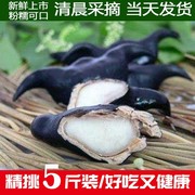 洪湖菱角新鲜老菱角5斤3湖北特产现摘菱角凌棱角新鲜蔬菜1斤