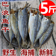 福建特产巴浪鱼干5斤新鲜咸鱼干熟鱼小鱼干，海鱼海鲜干货1斤