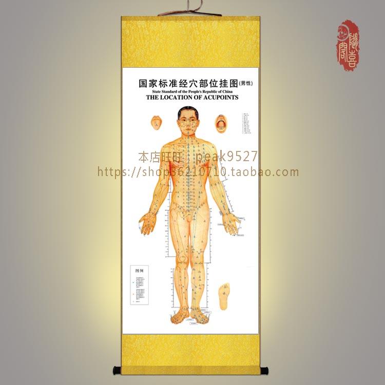 国家标准经穴位部位挂图 男性正面穴位图 中医 诊所装饰画 卷轴画|ruв категории Домашний быт, декоративная живопись, китайская живопись - от Buy2taobao.com для оказания профессиональной услуги покупки агента Taobao