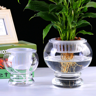水培玻璃植物绿萝花瓶葫芦，室内桌面摆件花卉水养，器皿灯笼办公花瓶