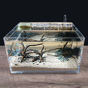 桌面生态鱼缸亚克力乌龟缸小型水龟缸客厅水陆造景缸带过滤免换水