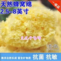 希腊地中海天然海绵，海藻棉卸面膜