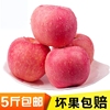 山东烟台霜降栖霞红富士苹果新鲜水果冰糖心4.5-5斤脆甜多汁