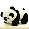 毛绒玩具大熊猫公仔抱抱熊玩偶可爱小熊猫布娃娃儿童生日礼物女生