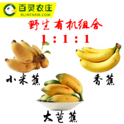 小森家野生粉蕉米蕉加大芭蕉，加有机香蕉，生鲜水果组合5斤