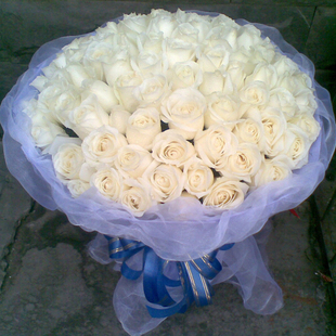 99朵白玫瑰 生日鲜花西安福州鲜花广州成都上海鲜花速递花店送花