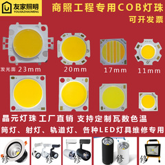 cob面光源芯片高亮led灯珠