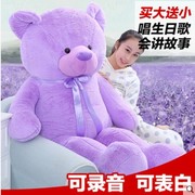 紫色薰衣草小熊公仔毛绒玩具泰迪熊玩偶女生生日礼物可录音布娃娃