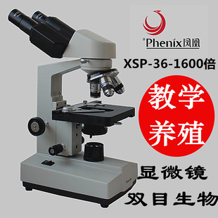 凤凰显微镜xsp-30系列，专业学生单目双目生物科学，实验医学养殖仪器