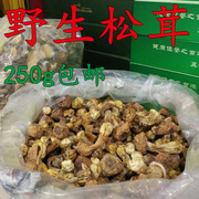 野生松茸干货250克 炖汤鲜美野生菌