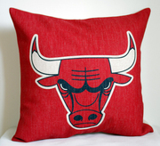 外贸球队芝加哥公牛球迷抱枕Chicago Bulls pillowcase