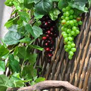 高档仿真葡萄藤条吊顶装饰假花藤蔓，攀爬绿植塑料，水管道绿叶水果