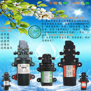 12v水泵电动喷雾器，隔膜泵微型洗车水泵，家用220v高压自吸泵
