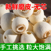 无芯白莲子500g 新货大粒去芯磨皮白莲子干货无硫湘潭莲子