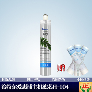 滨特尔爱惠浦净水器滤芯，家用厨房自来水直饮过滤器h104