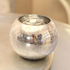 欧式电镀银色系玻璃，花瓶花器彩色玻璃花瓶，圆球玻璃花瓶水培花瓶