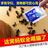 灭蚂蚁药家用神器除杀去红小黄黑粉强力一窝端室外用防蚁饵剂果园