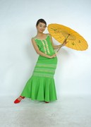 傣族舞蹈演出服装/傣族舞台女装裙/傣族长裙修身鱼尾裙服饰