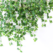 仿真爬山虎装饰藤条假花塑料花藤蔓植物绿植绿叶壁挂叶子墙面吊顶
