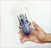 本店独家原创设计 iPhone 手机壳6s/6s+/5/se 透明软壳 甲虫