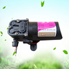 农用电动喷雾器专用水泵 12V压力水泵微型高压水泵 隔膜泵
