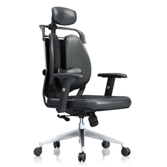 健康舒适护腰双背椅老板椅人体工学电脑椅个性时尚设计师办公椅子
