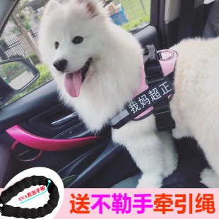 狗狗牵引绳胸背带中大型犬，萨摩金毛狗链子，小型犬法斗背心式遛狗绳