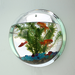 创意壁挂鱼缸悬挂挂墙水族箱生态客厅，餐厅墙壁金鱼缸(金鱼缸)迷你缸造景