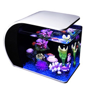 热带金鱼缸水族箱 小型珊瑚套餐鱼缸玻璃造景静音生态小鱼缸海水