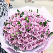 99朵紫玫瑰花束生日北京同城鲜花速递七夕情人节礼物