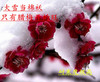 红梅花盆景树桩室内花卉原生乌梅朱砂梅绿梅腊梅重瓣耐寒植物